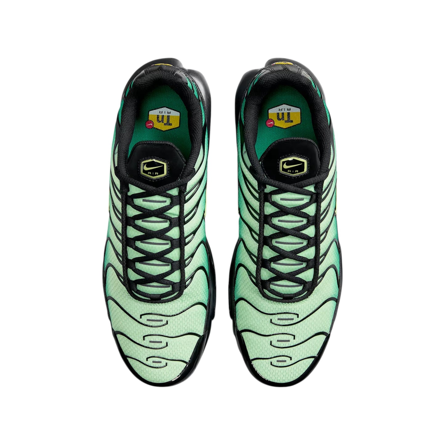 Nike Air Max Plus Vapor Green Gradient