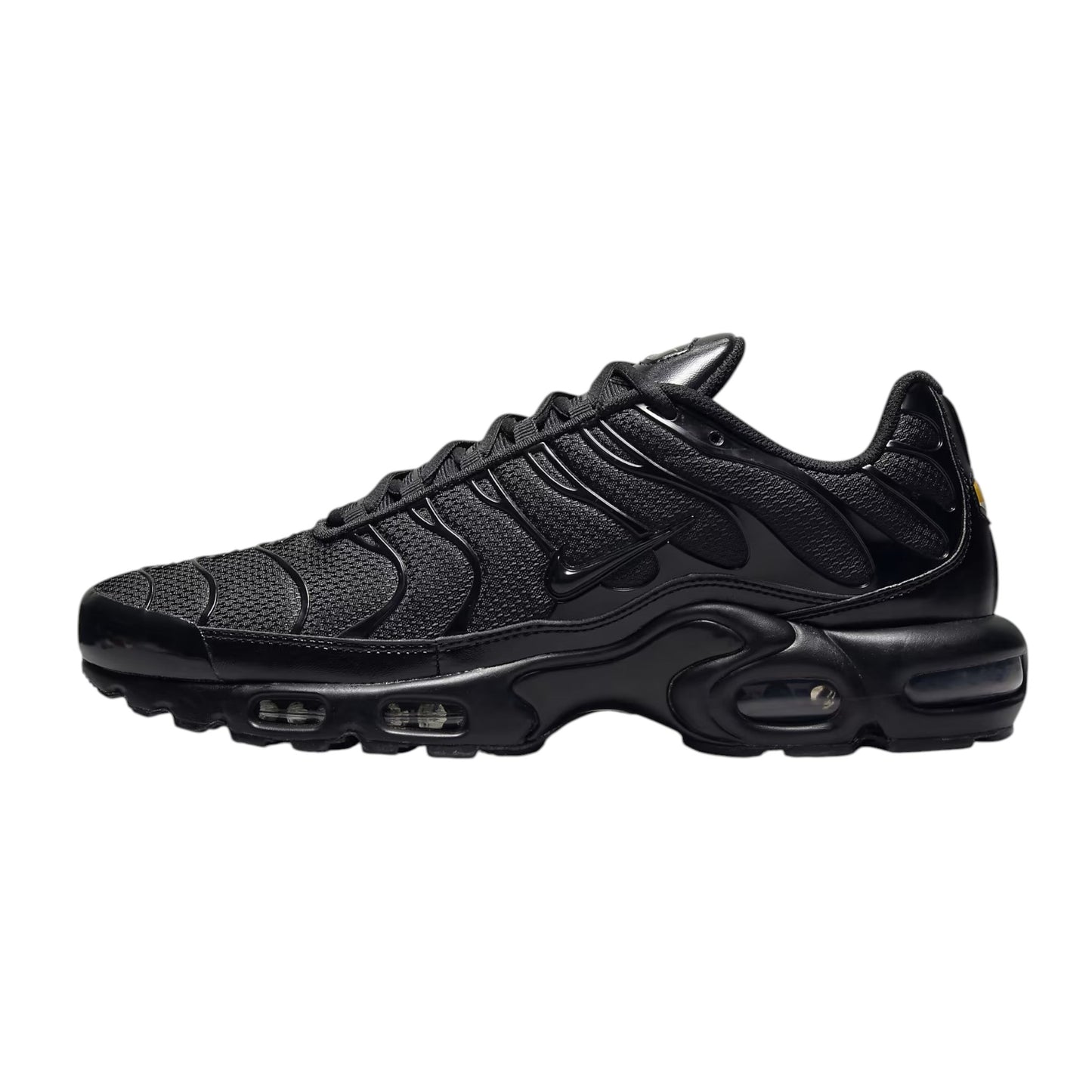 Nike Air Max Plus Triple Black
